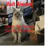 Walt Winston - Cat in the Window - Dog by the Door